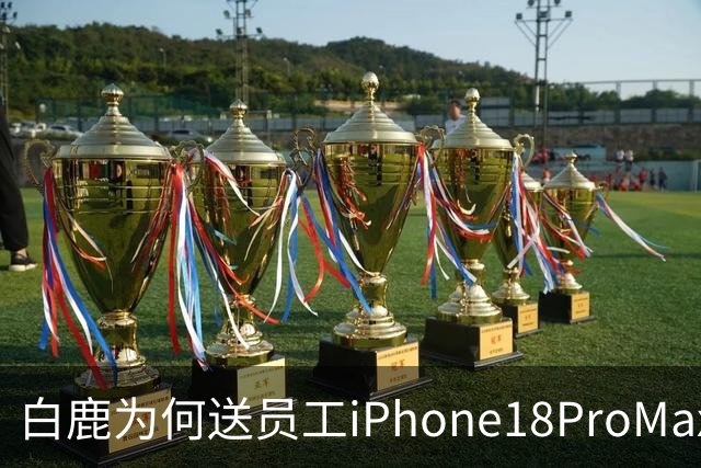 白鹿为何送员工iPhone18ProMax而非华为手机？