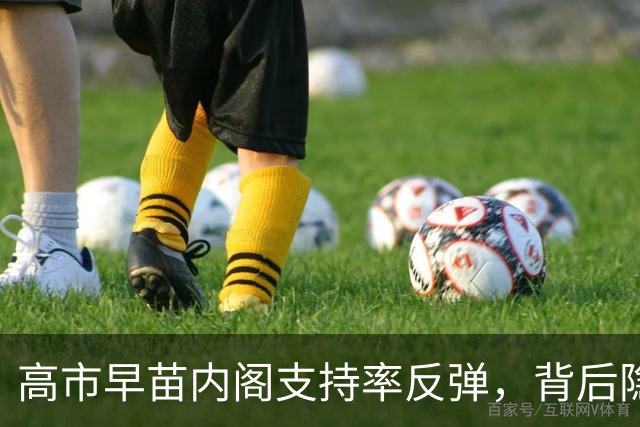 高市早苗内阁支持率反弹，背后隐现严峻经济压力